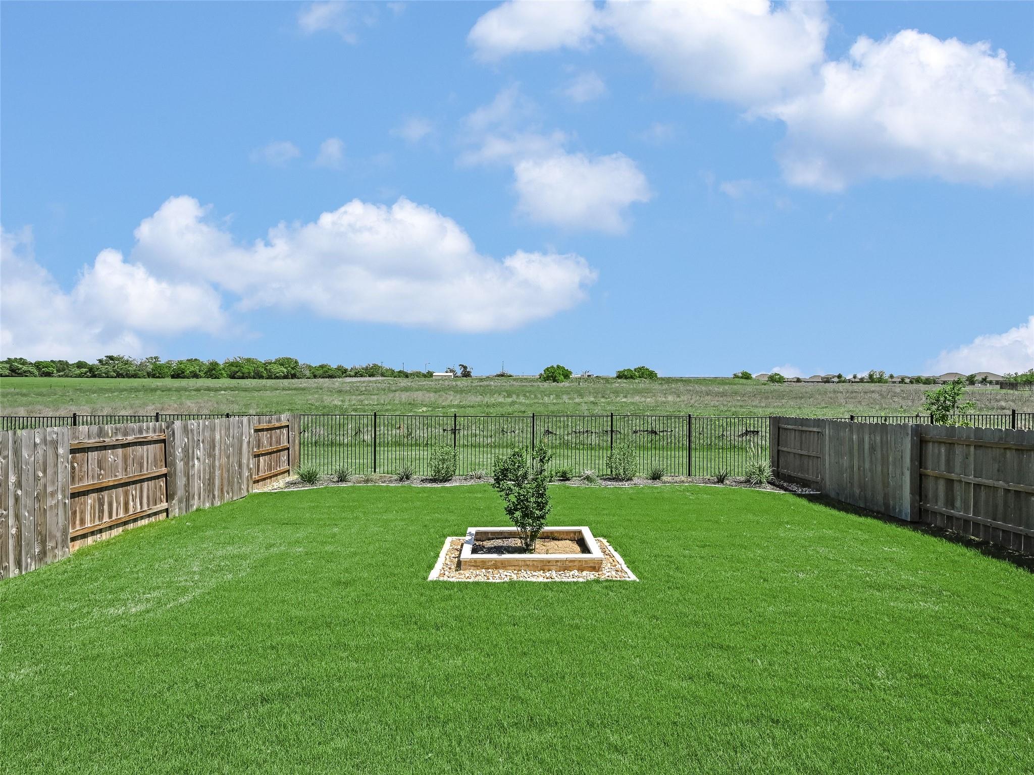 131 Plumbago LOOP