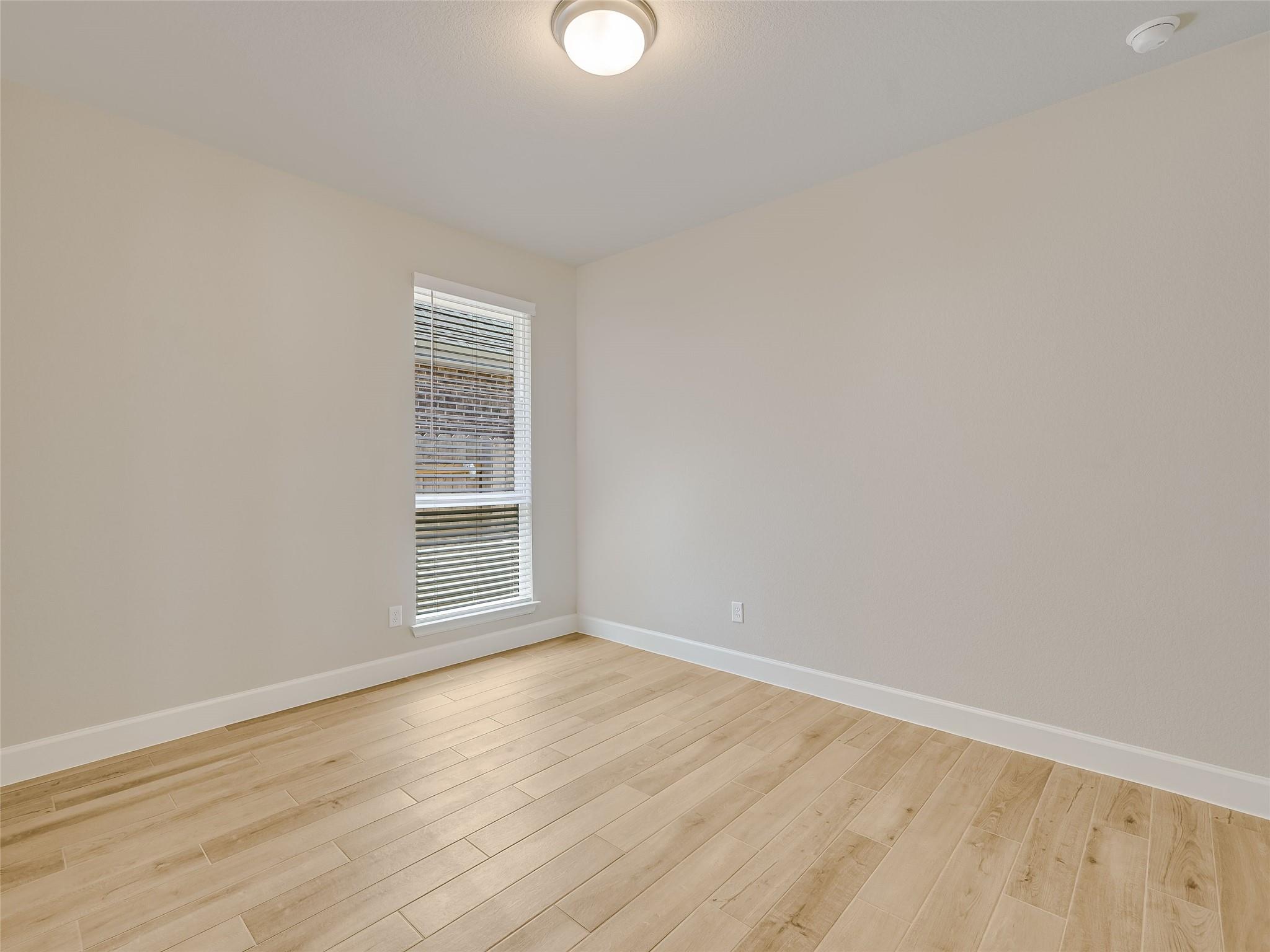 131 Plumbago LOOP