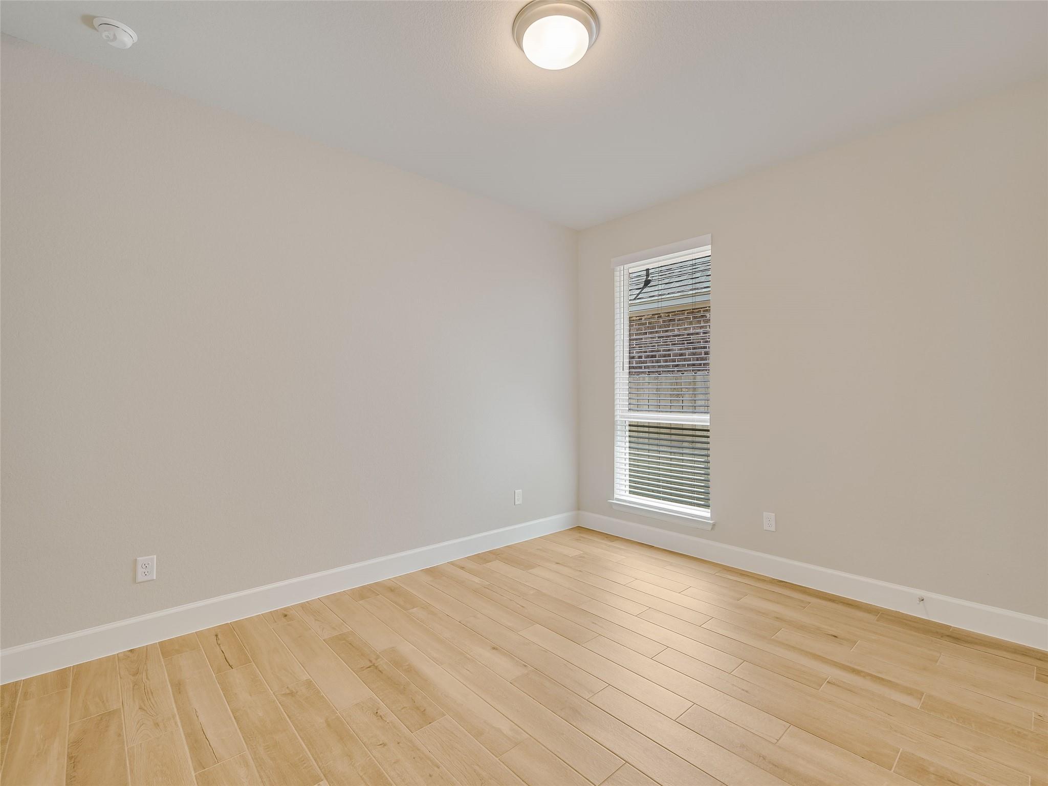 131 Plumbago LOOP