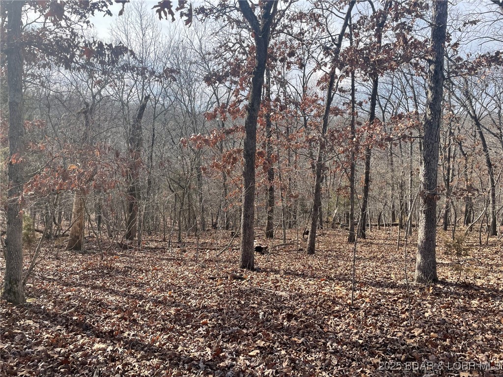 Lot 501 Cambridge Drive