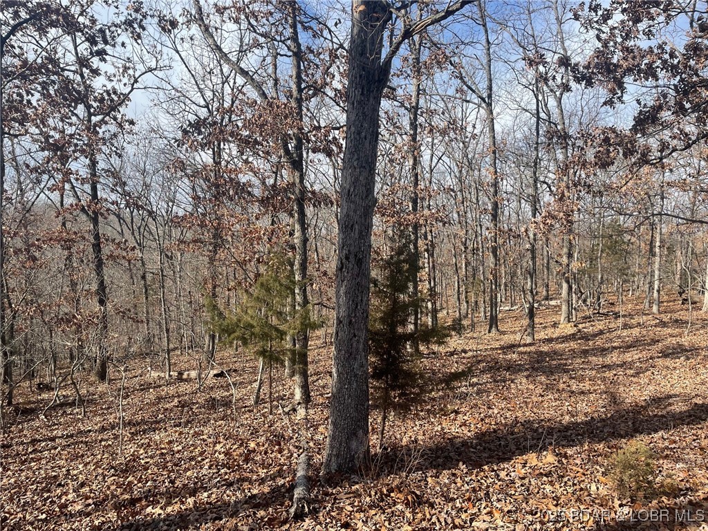 Lot 501 Cambridge Drive