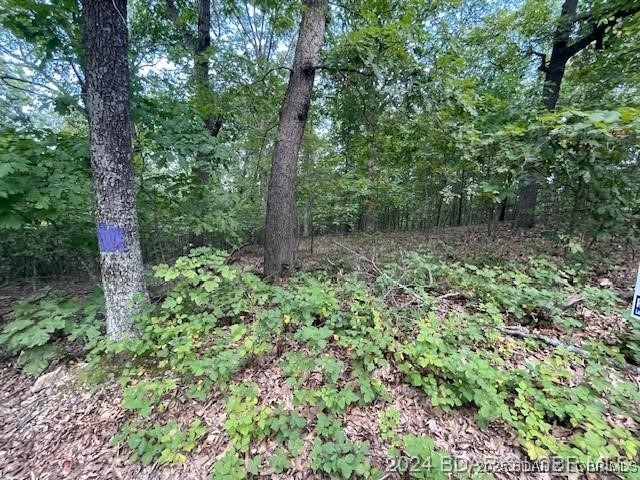 Tract 270 Sunset Estate