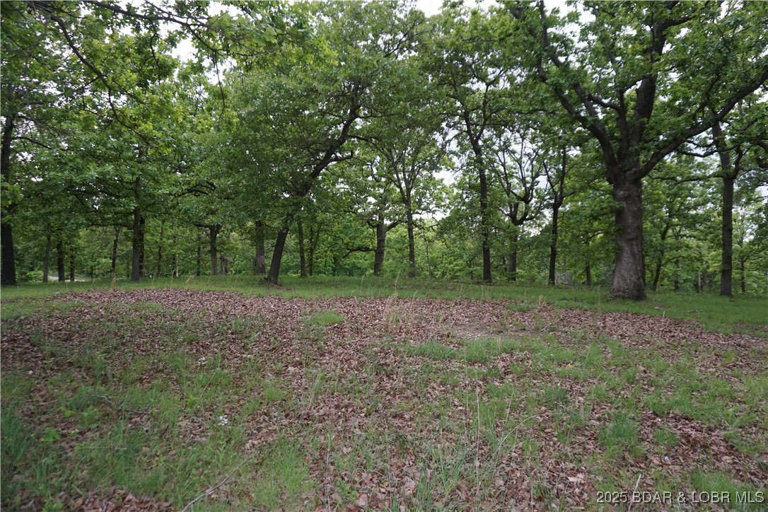 Wooded vacant lot with mature trees, a grassy clearing, and leaf-covered ground.