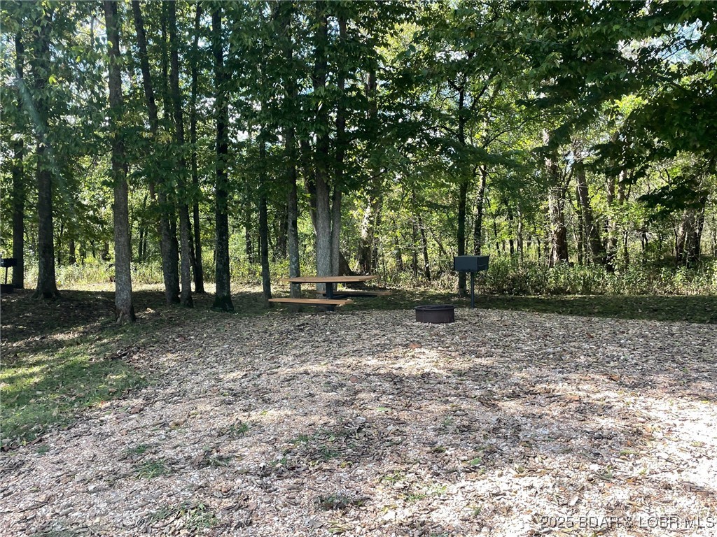 Wooded lot with a gravel clearing, picnic table, fire ring, and grill beneath mature trees.