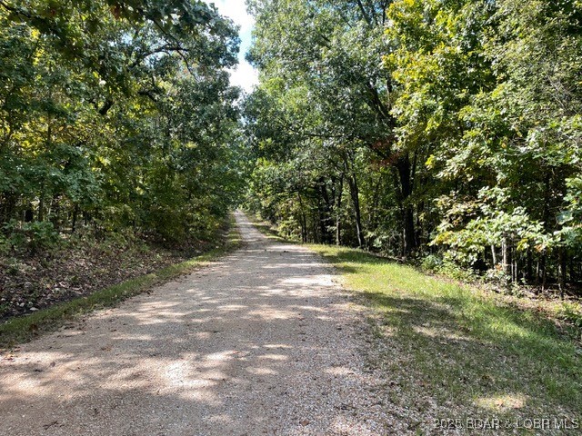 Gravel access road winding through dense leafy trees.