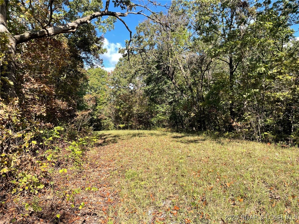 Wooded lot with a grassy clearing and mature trees.