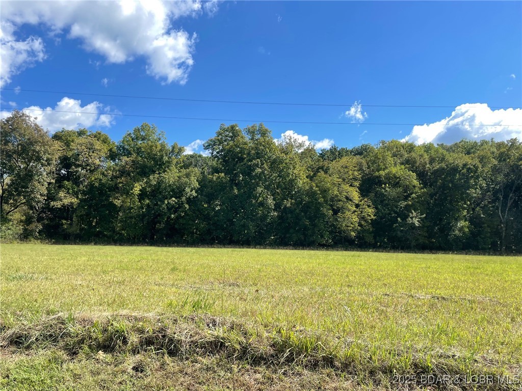 Grassy vacant lot bordered by trees beneath a blue, cloud-dotted sky.