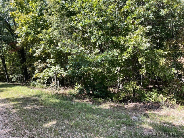 Wooded lot with a grassy clearing along the tree line.