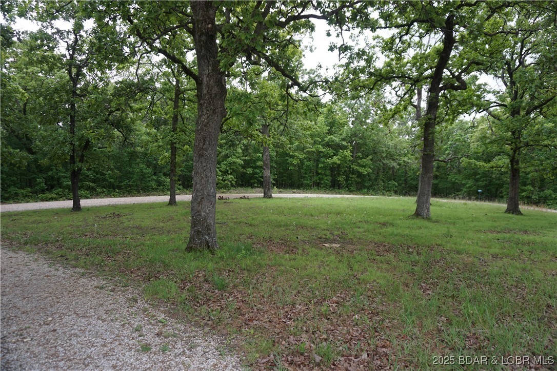 Wooded lot with a grassy clearing and curved gravel driveway beneath mature trees.