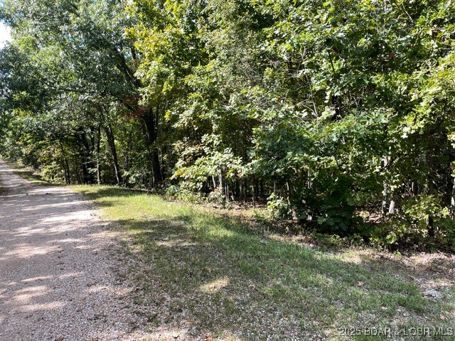 Wooded vacant lot beside a gravel road, with dense trees and a grassy roadside edge.