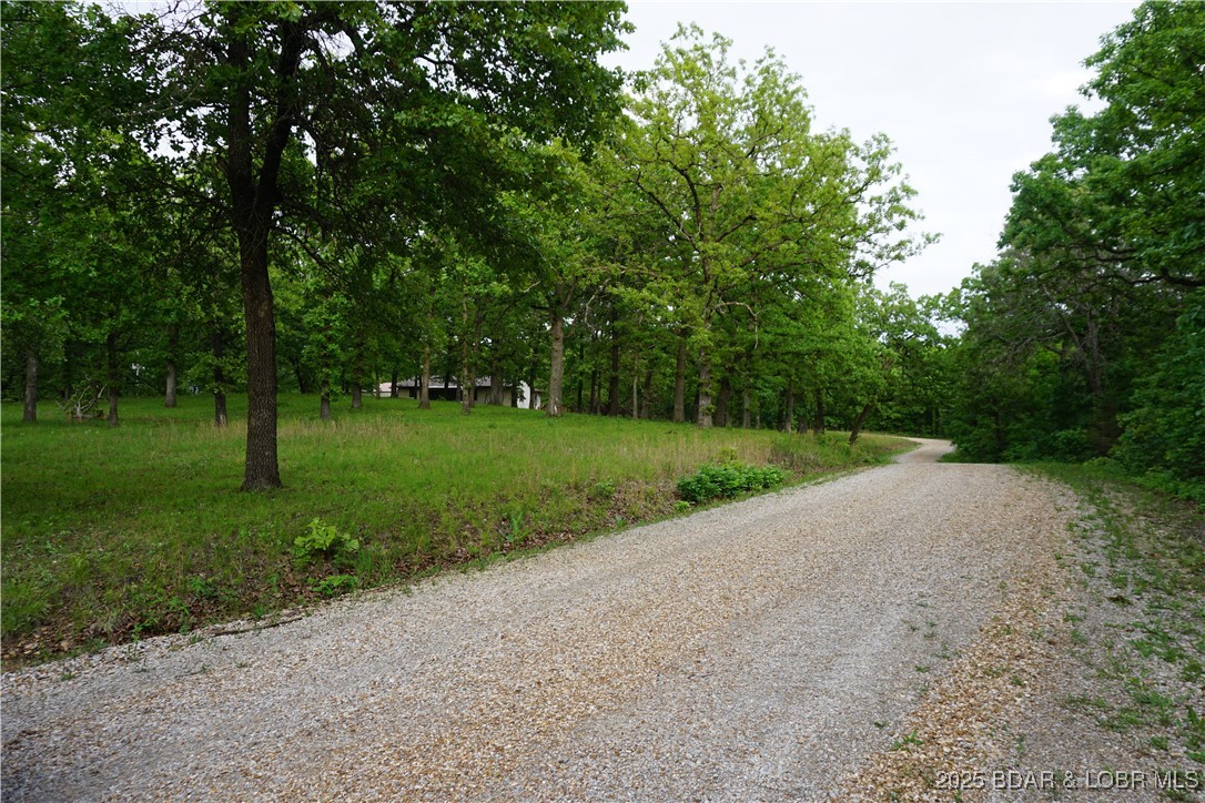 Wooded grassy lot beside a curving gravel driveway, with a building partly visible among the trees.