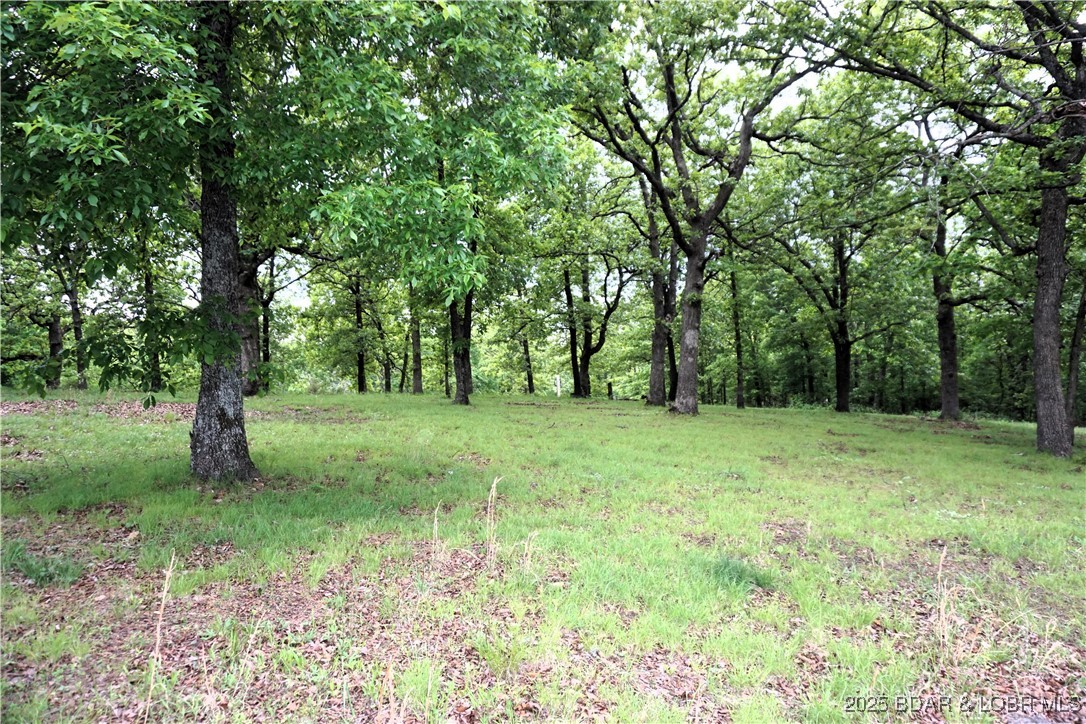 Wooded lot with a grassy clearing beneath mature trees.