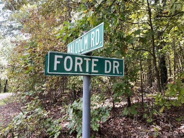 Malcolm Road and Forte Drive street signs at a wooded intersection.