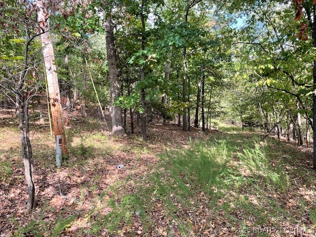 Red Oak Drive