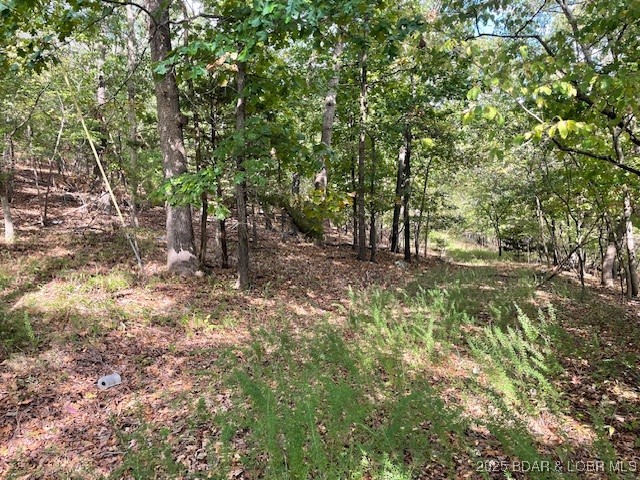 Red Oak Drive