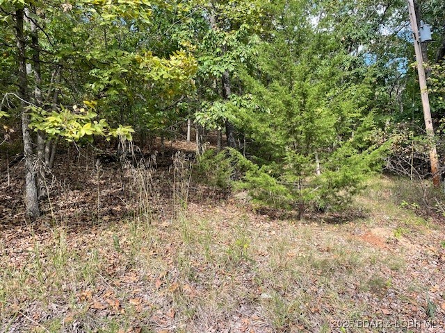 Red Oak Drive