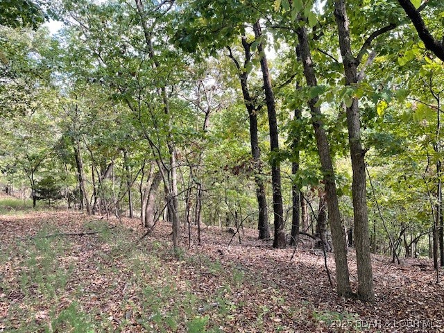 Red Oak Drive