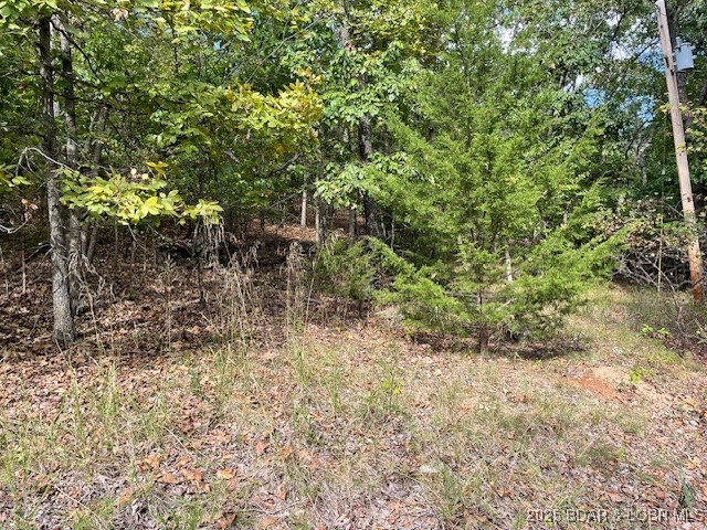 Red Oak Drive