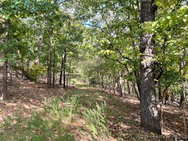 Red Oak Drive