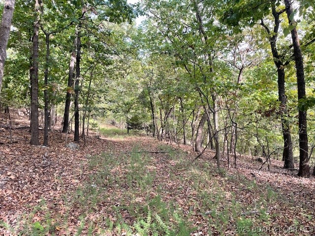 Red Oak Drive