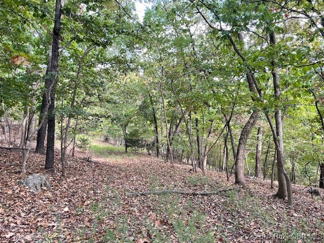 Red Oak Drive