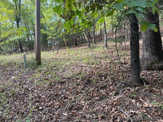 Red Oak Drive