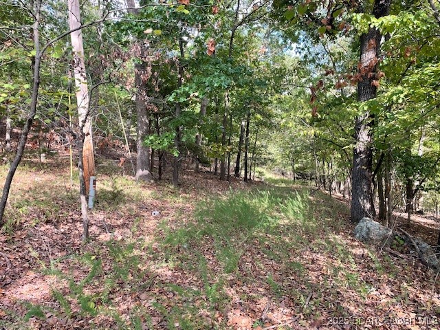 Red Oak Drive