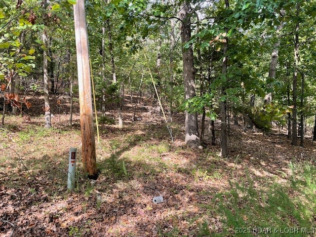 Red Oak Drive