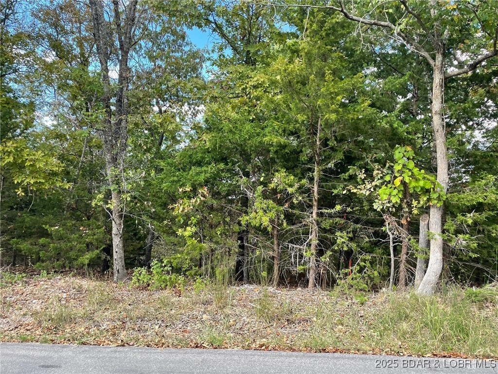 Oak Ridge Road
