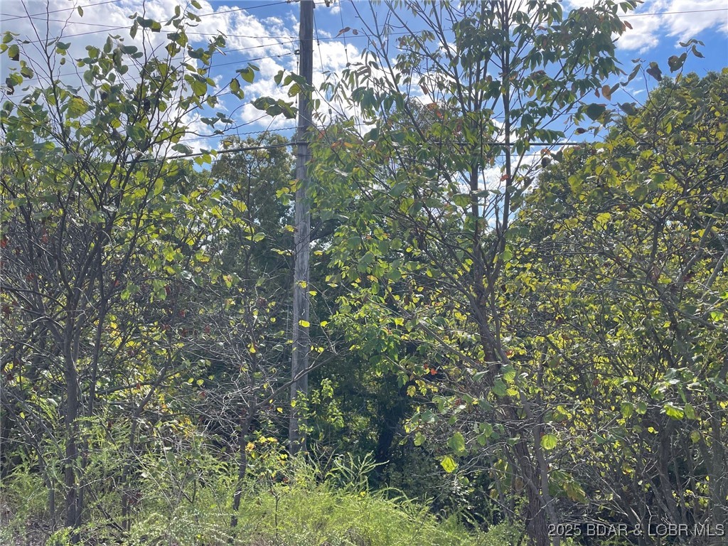 Arrowhead Beach Road
