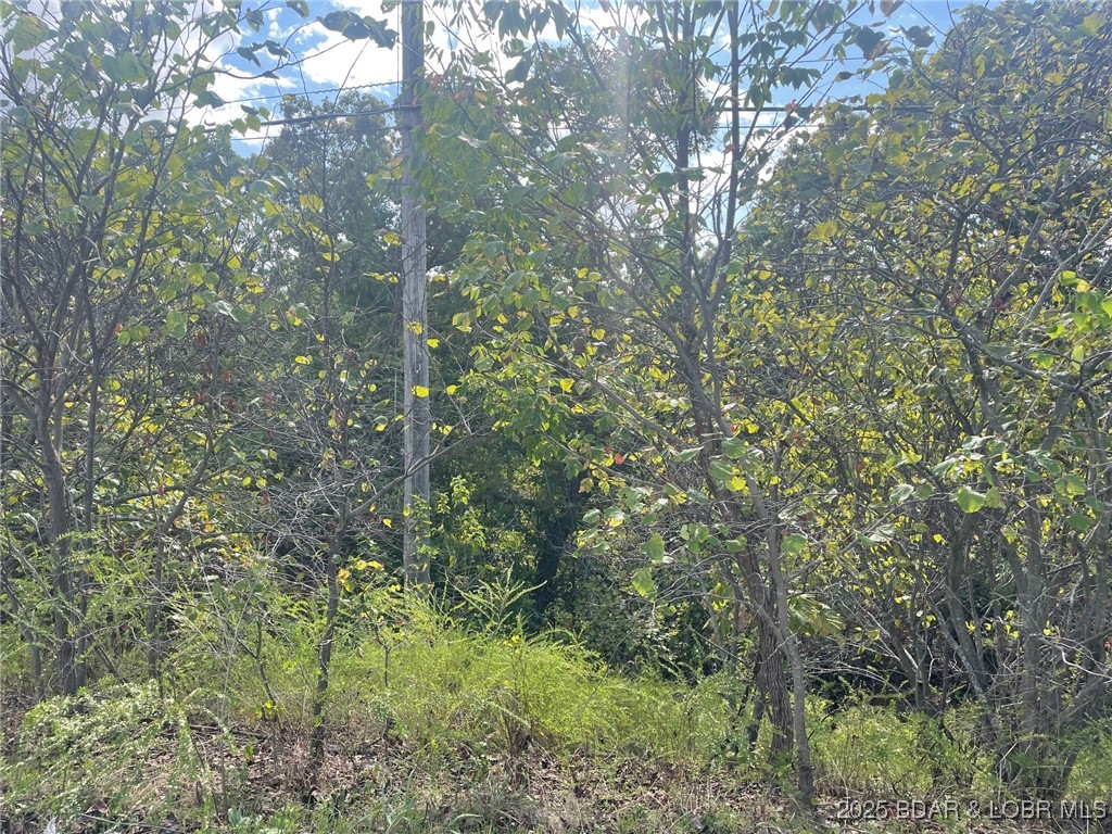 Arrowhead Beach Road