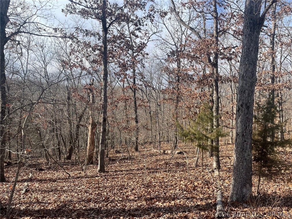 Lot 501 Cambridge Drive