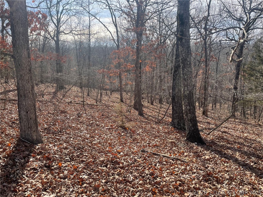 Lot 501 Cambridge Drive