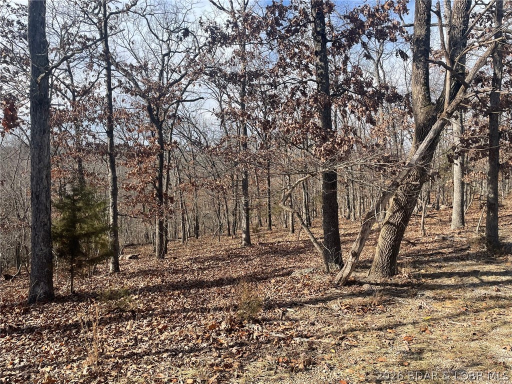 Lot 501 Cambridge Drive