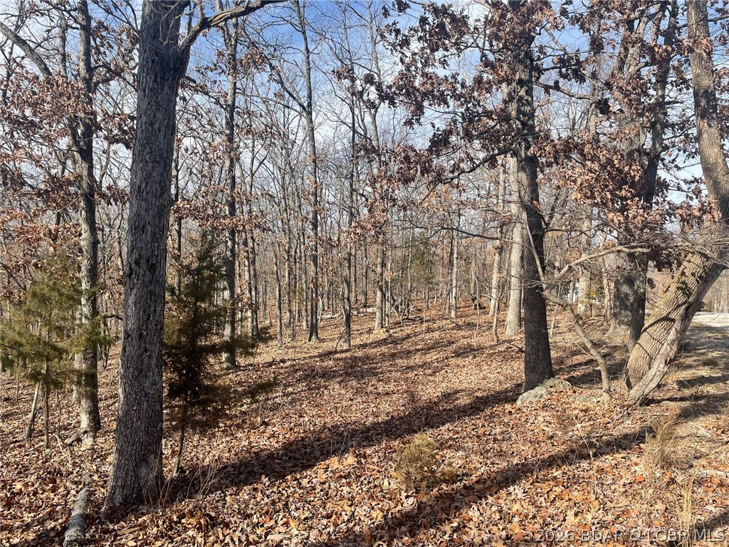 Lot 501 Cambridge Drive