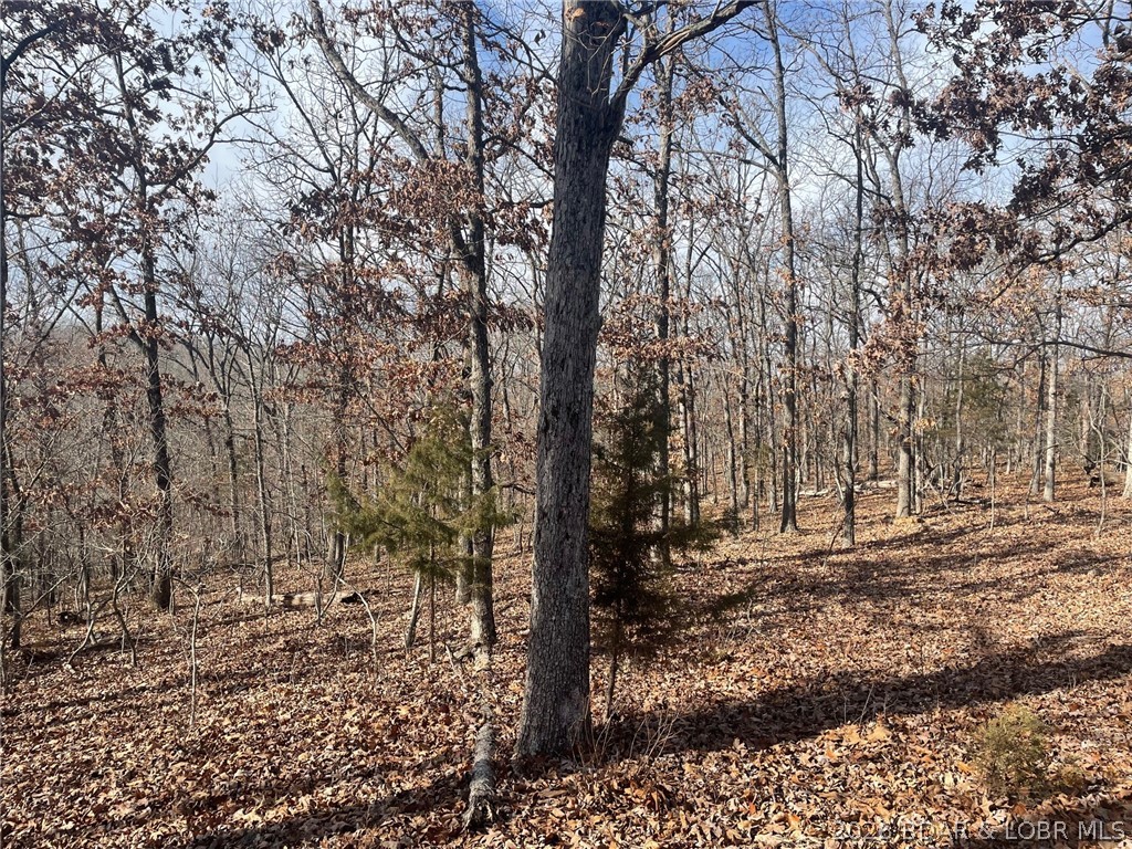 Lot 501 Cambridge Drive