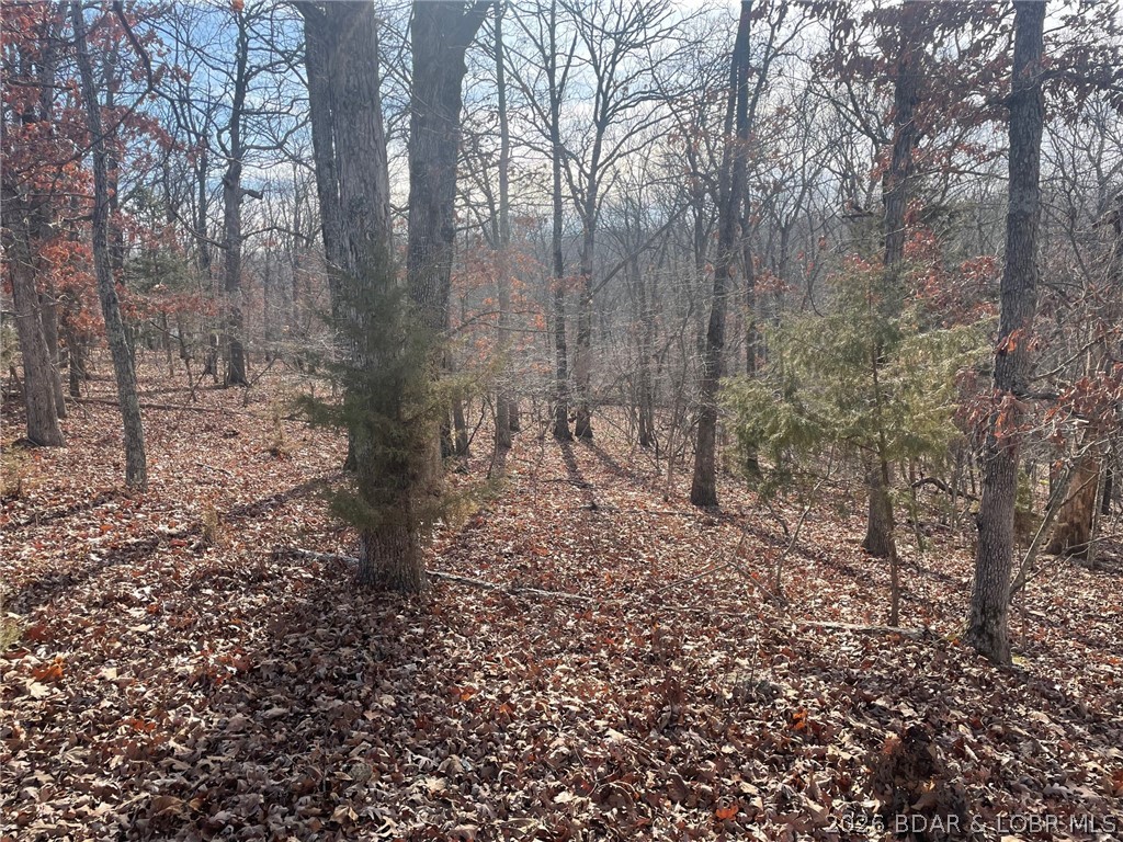 Lot 501 Cambridge Drive