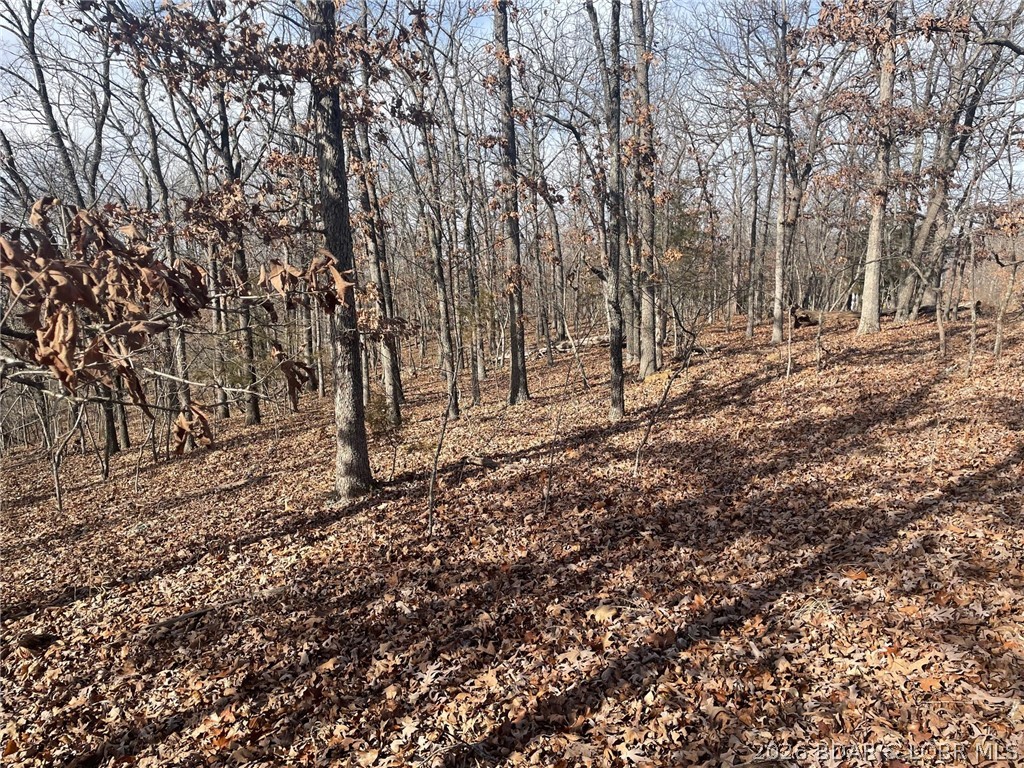 Lot 501 Cambridge Drive