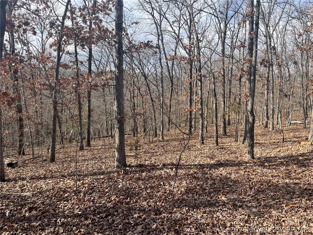 Lot 501 Cambridge Drive