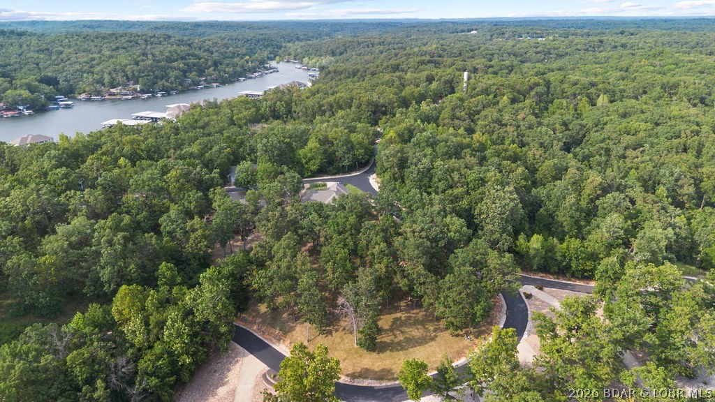 Aerial view of wooded homes and curving roads near a cove with docks.