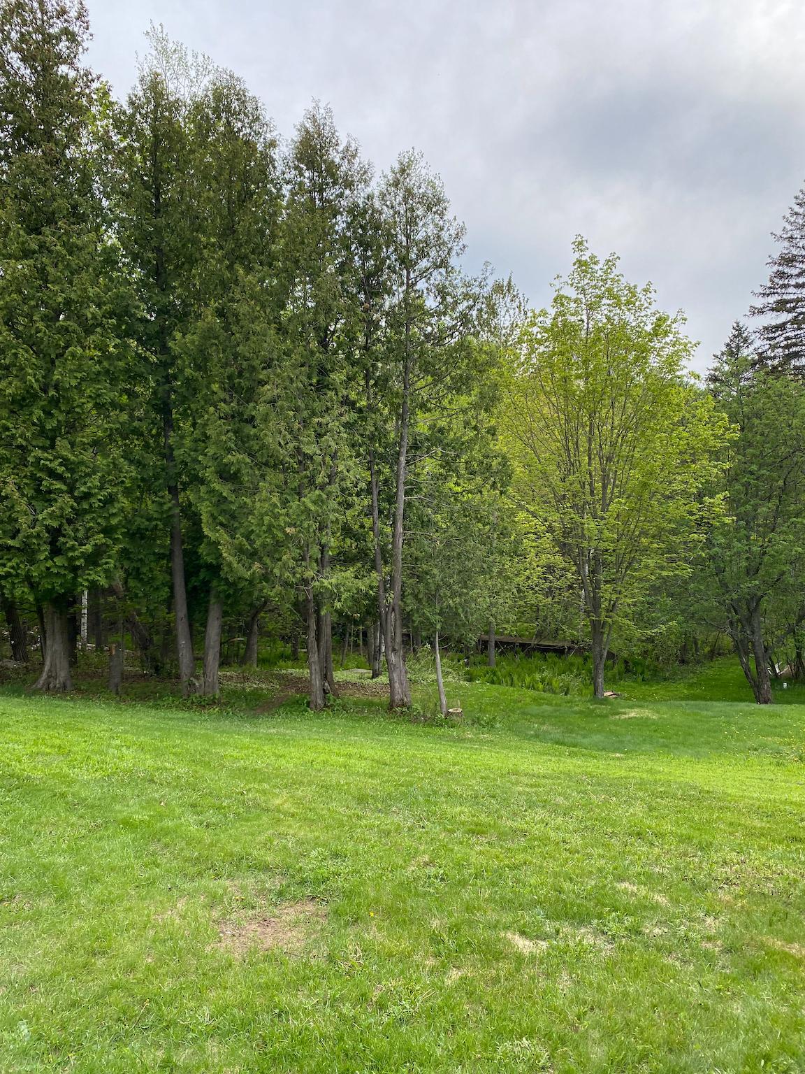608 W Arrowhead Road