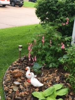 1795 Donegal Drive Unit: 1