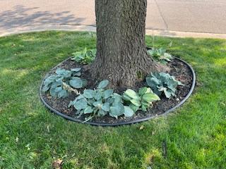 1795 Donegal Drive Unit: 1