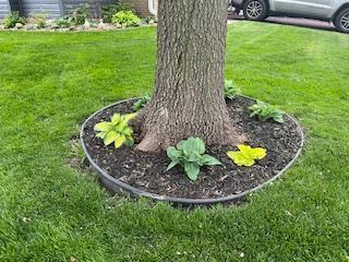 1795 Donegal Drive Unit: 1