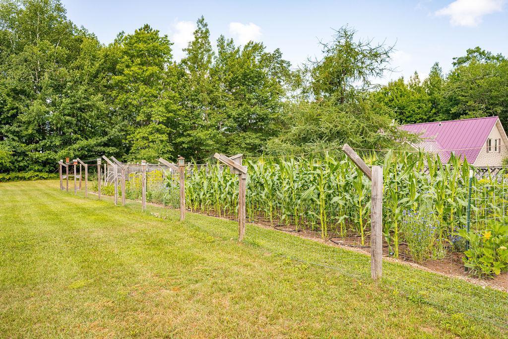 3167 Eden Lane