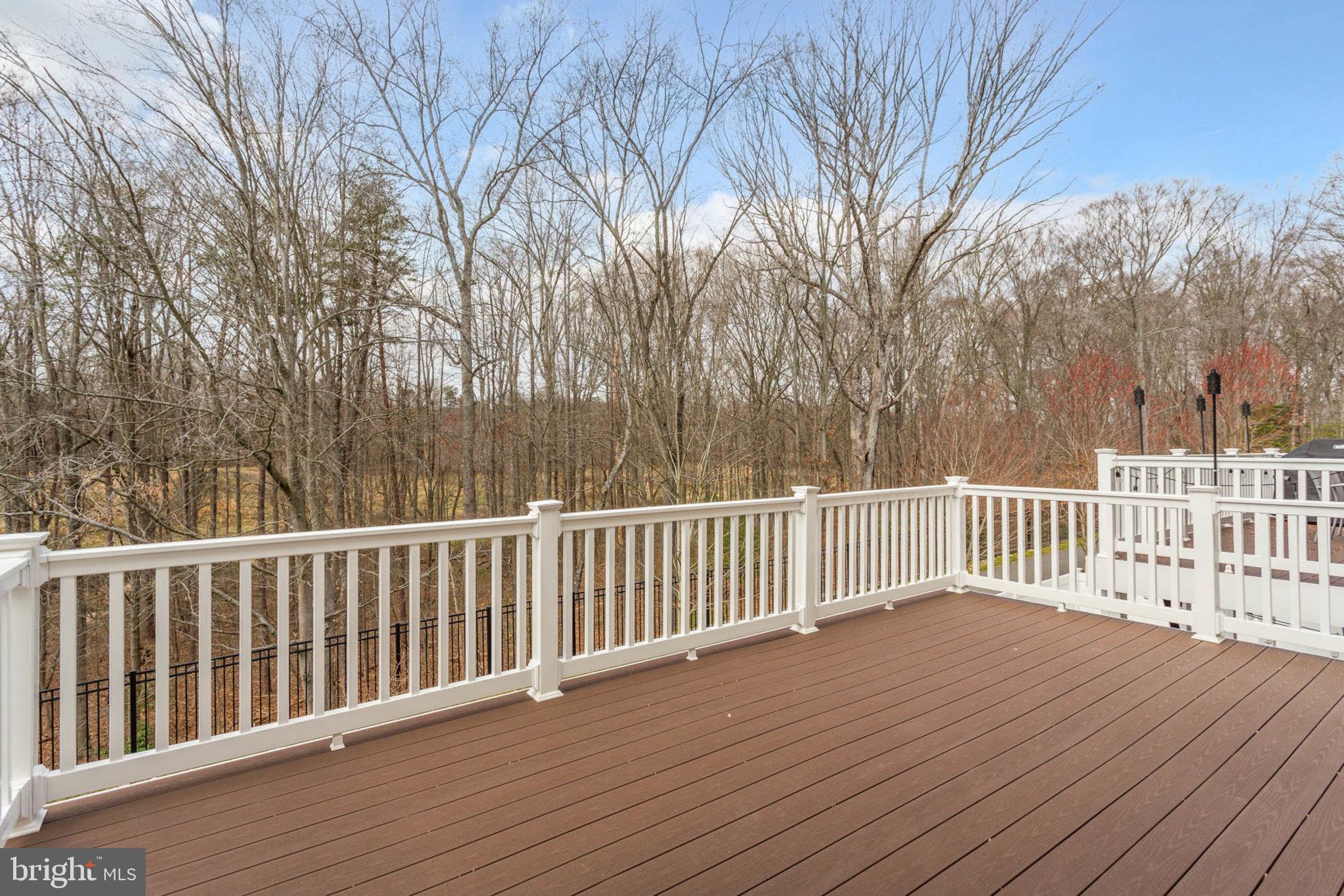 1551 Witchhazel Cir