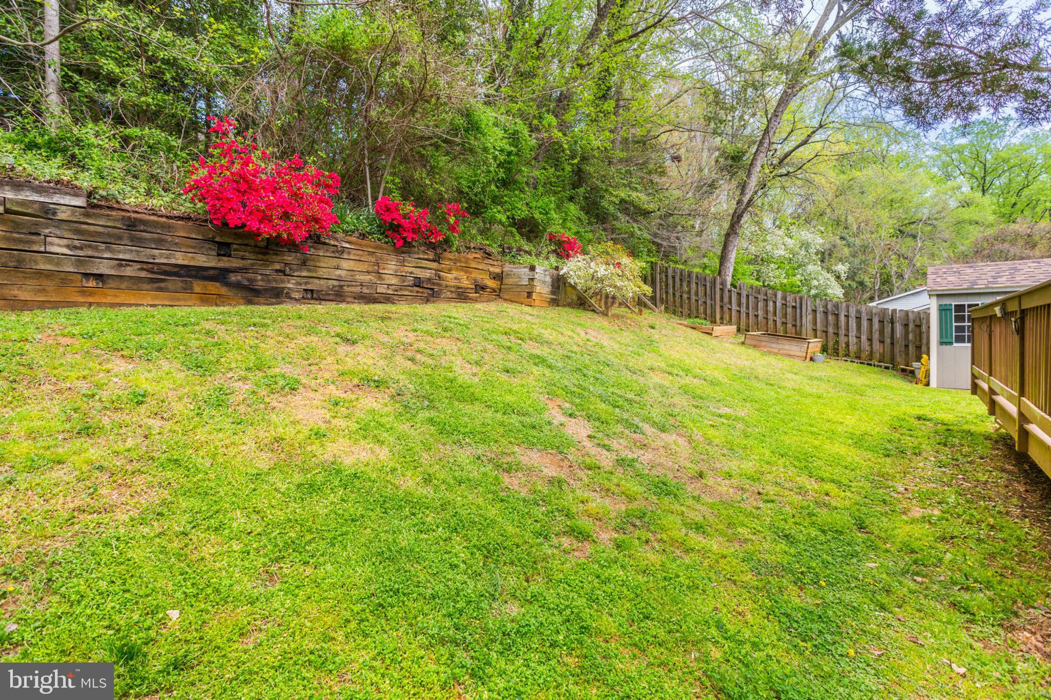 424 Blossom Tree Ct