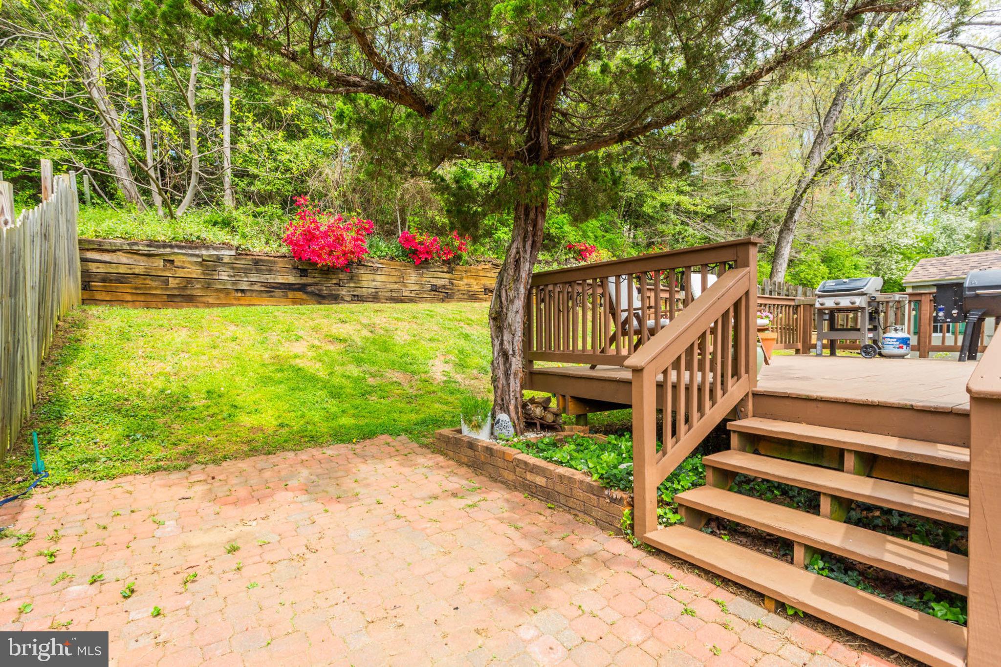 424 Blossom Tree Ct