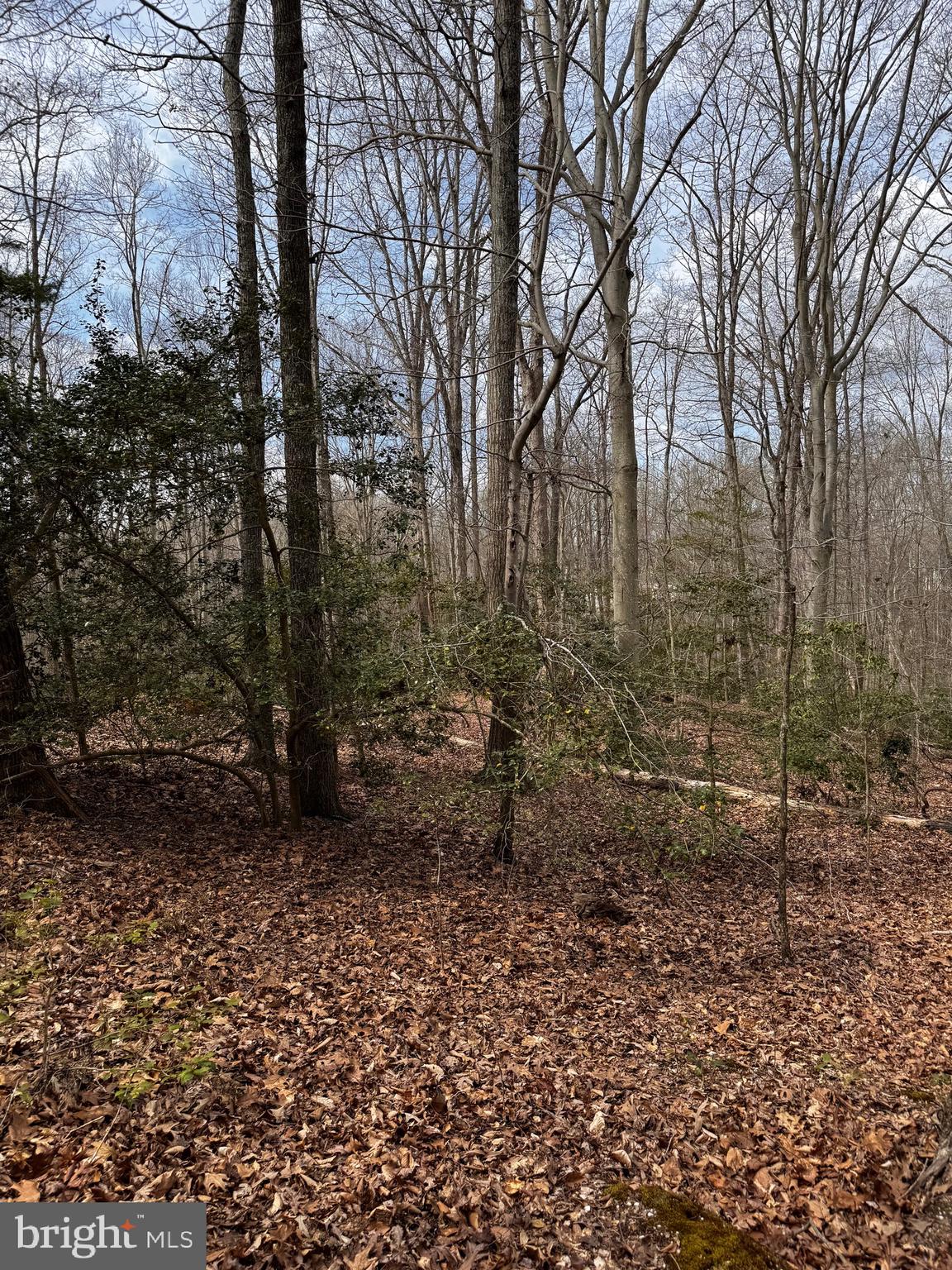 60 Spring Hill Ct