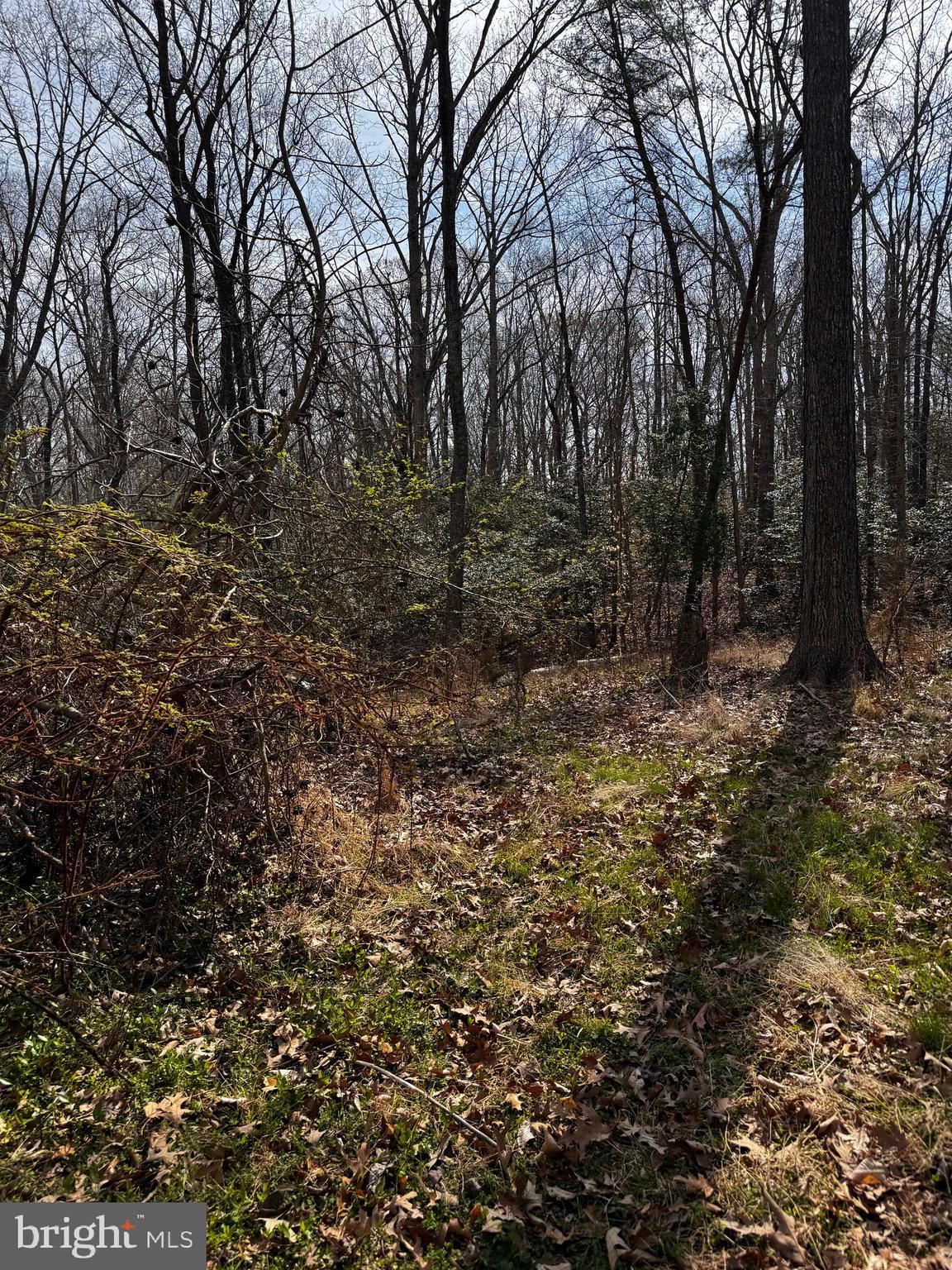 60 Spring Hill Ct